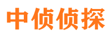 芗城市婚姻调查